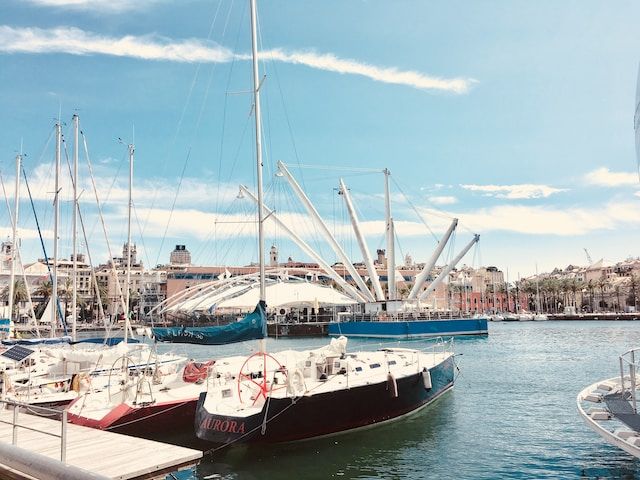 Foto porto di Genova